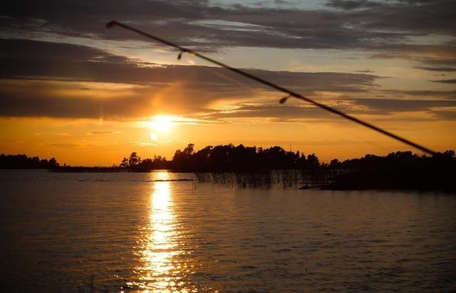 |你觉得钓位很好，其实没有鱼，找到“鱼窝”想空军都难！