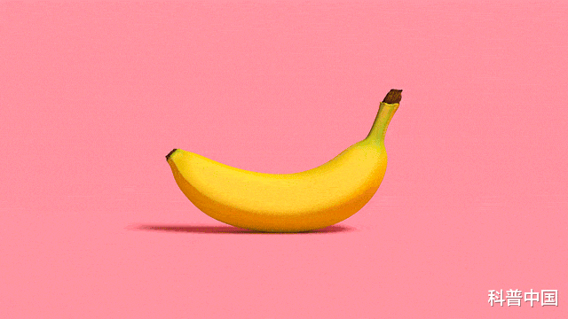 椰子油|香蕉里有\蠕虫\，食用后12小时会脑死亡？多数人都不知情