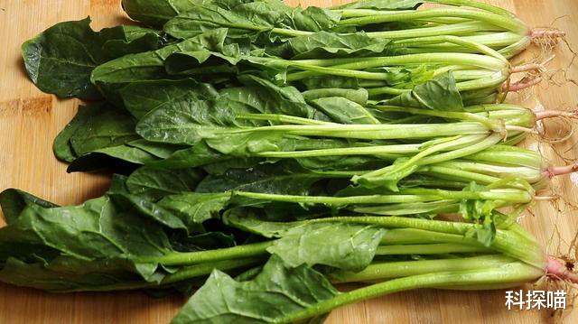 肝脏|李兰娟：早上是养肝的“黄金期”，少吃这4种早餐，对肝脏有好处