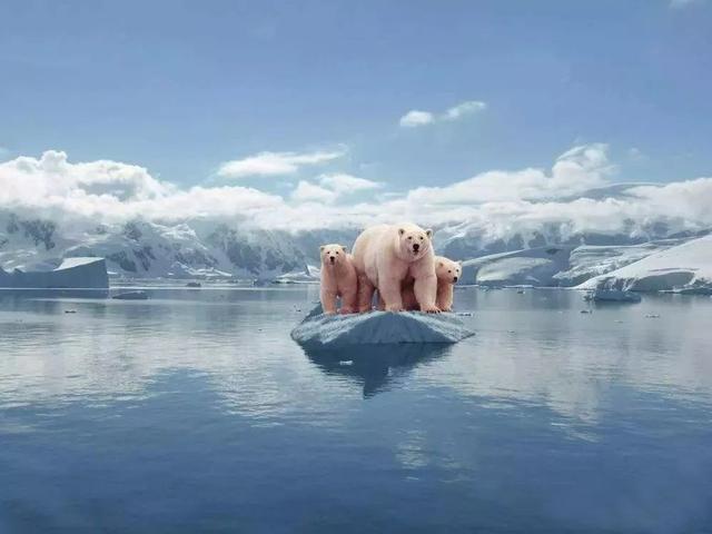 座头鲸 地球自转速度突然加快，一天已不足24小时，这意味着什么？