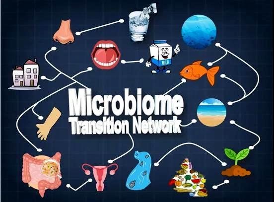 微生物 青岛能源所基于大数据引擎绘制全球微生物组转化网络