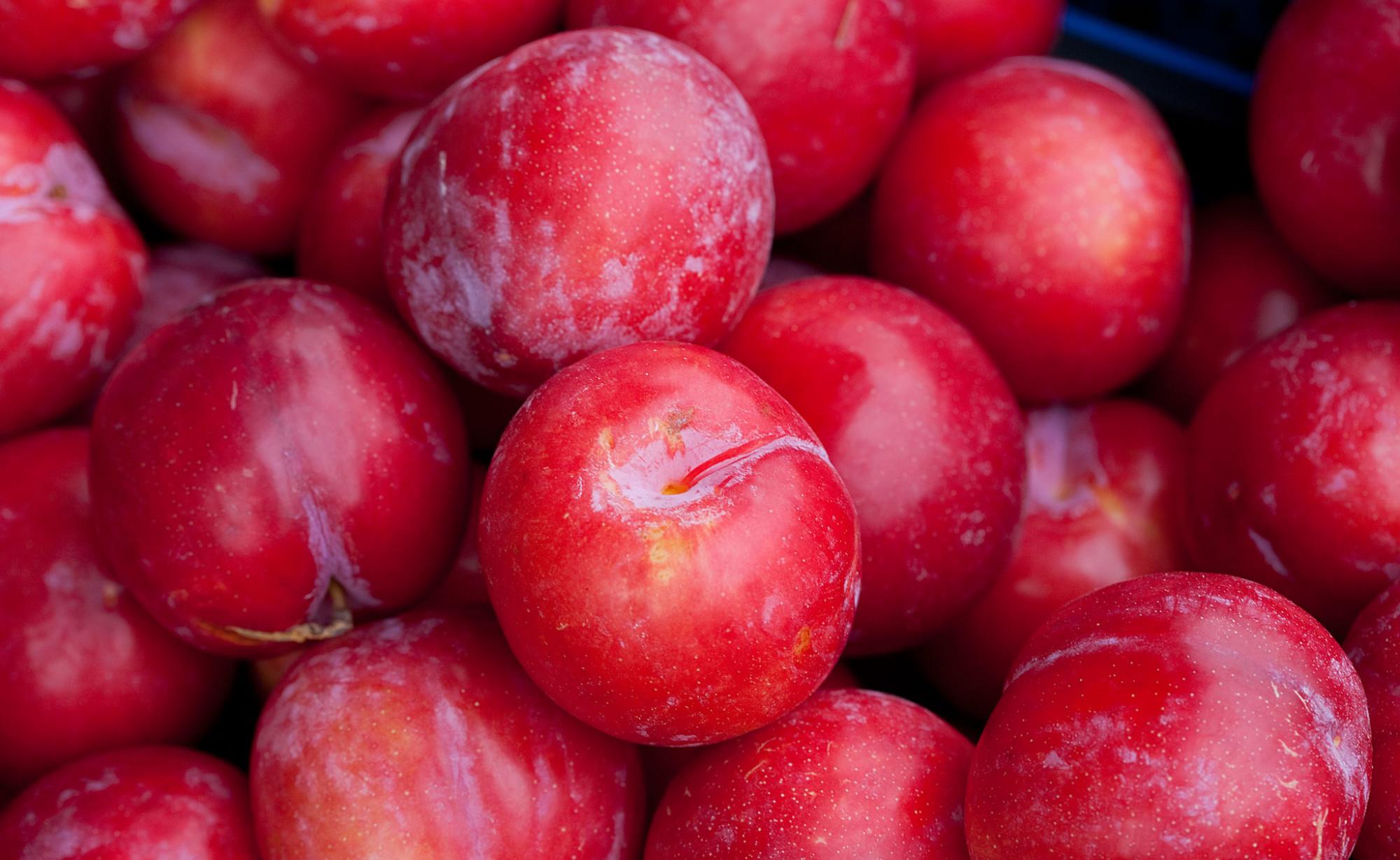 长脖子爸比说|四川重庆是一家：除共同热爱的火锅外，这道夏天美食也拒绝不了