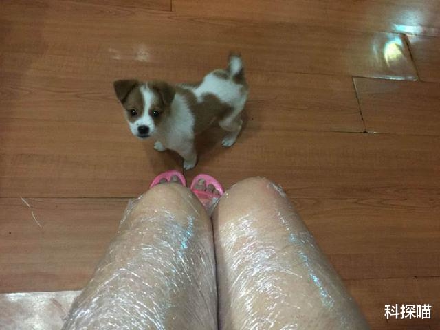 医生 保鲜膜减肥法真的靠谱吗？听听医生是怎么说的，大多数人还不知道