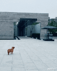 |“从领导办公室出来的女同事，这衣服怎么还穿反了？”这是要升职了啊