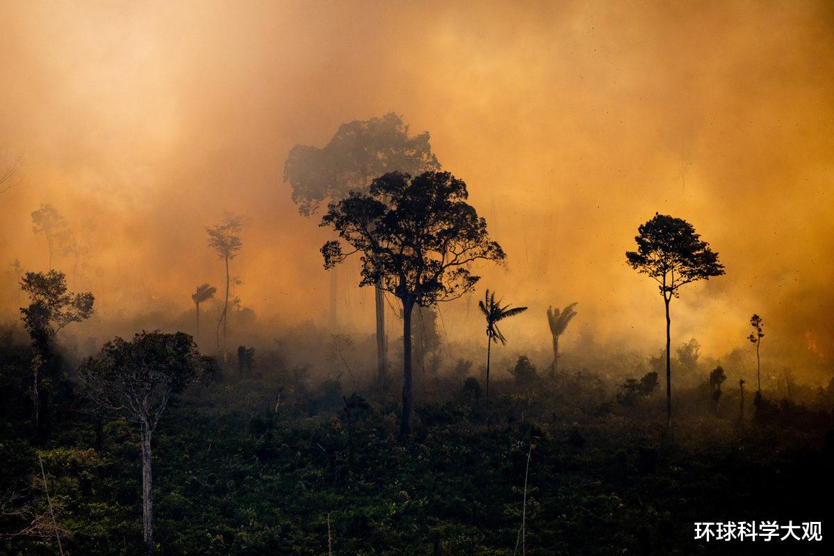 科学家 14000名科学家声明：地球气候进入紧急状态，人类该如何应对？