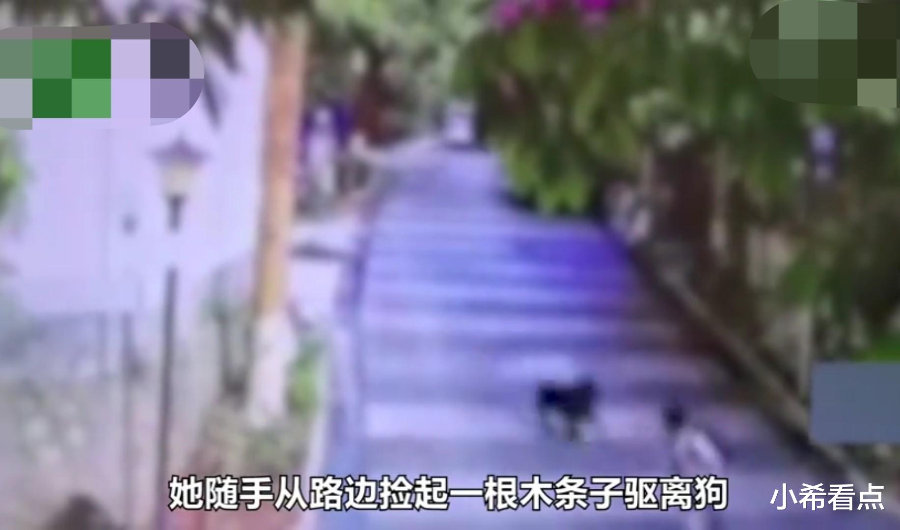 |遛狗不牵狗绳住户出价749万卖房，不道歉想走人了事？