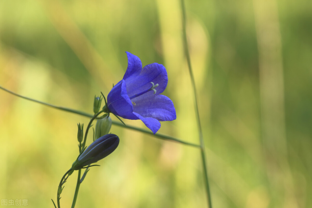凡人凡举凡思|为生活加点健康和好运吧……