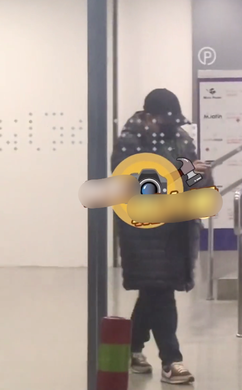 |秘密生子?50岁韩红带娃出行包裹严实,小萌娃胖乎乎长相酷似韩红