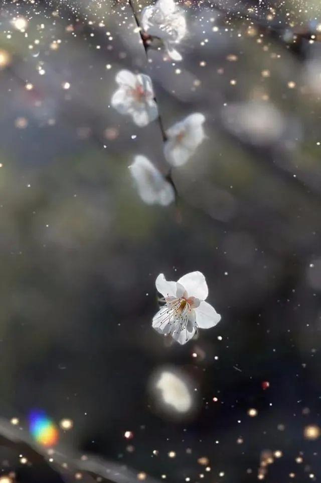 手机拍照问题集锦，用“知识点”避免摄影忌讳，快速提高照片质量