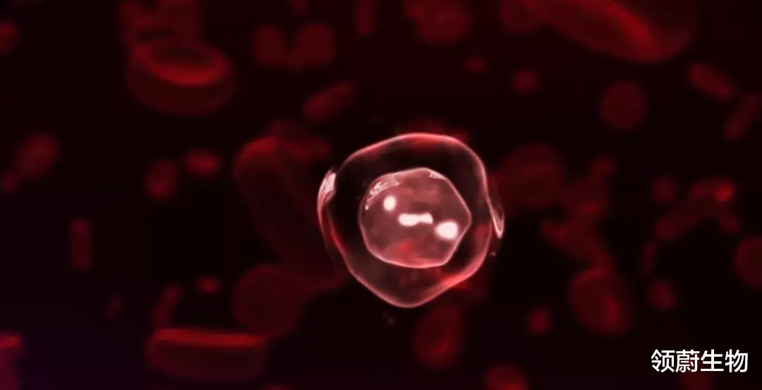 car-t ??《Cell》最新！攻进实体瘤！CAR-T疗法新帮手，不仅提高疗效还能使治疗效果更长久