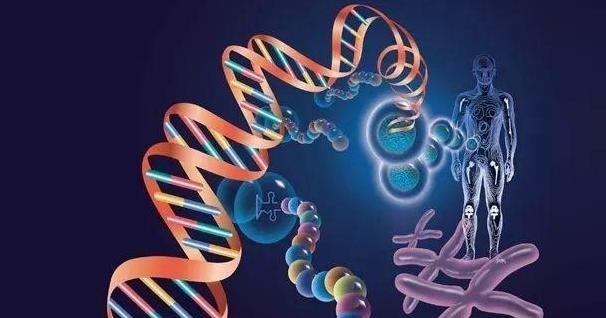 科学家|英国造出155个“人兽杂交胚胎”，究竟是创新还是人类毁灭前奏？