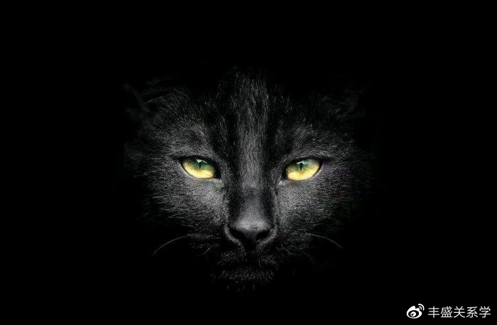 微信|微信头像的秘密