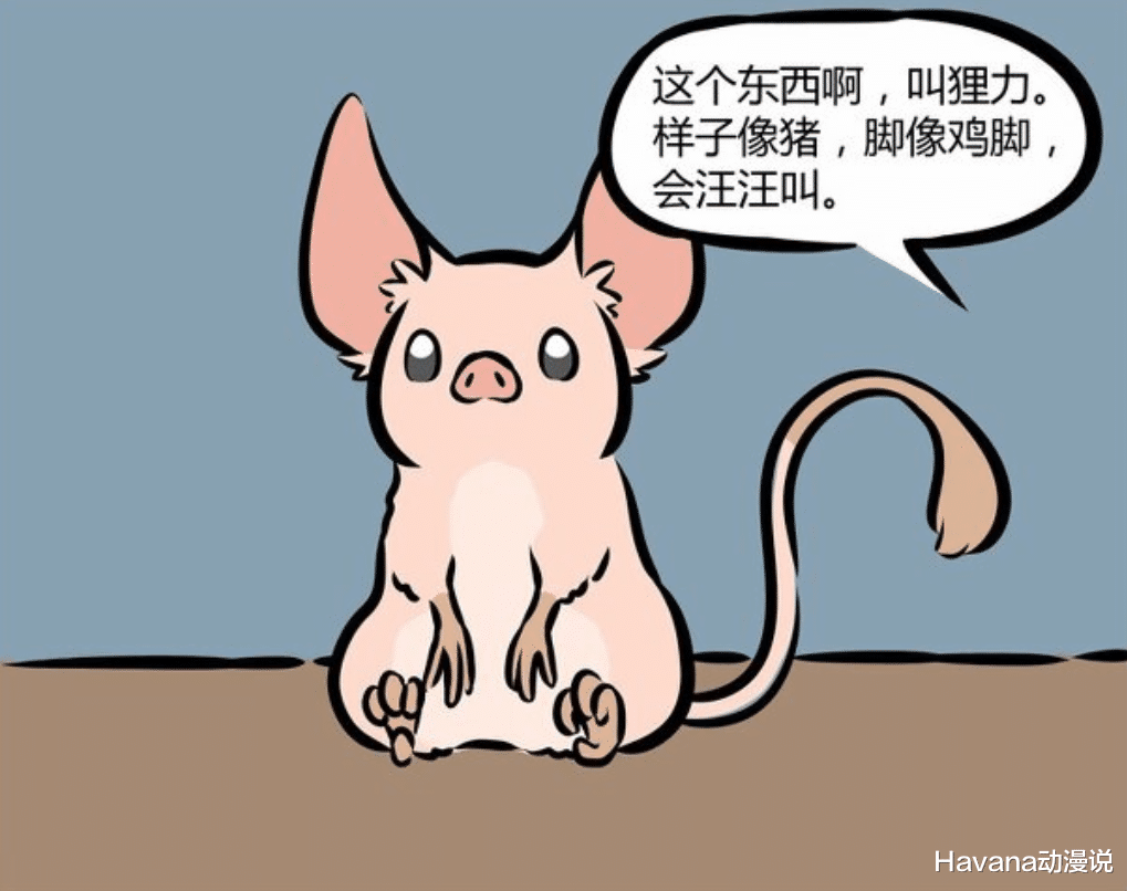 cp粉|非人哉：最早的九烈CP粉，号称烈烈最强僚机，还送九烈上过电视