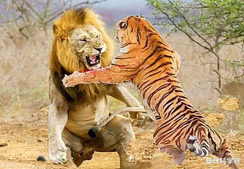 在害怕什么？人类为什么隐藏排卵期？而其他动物都有明确的信号