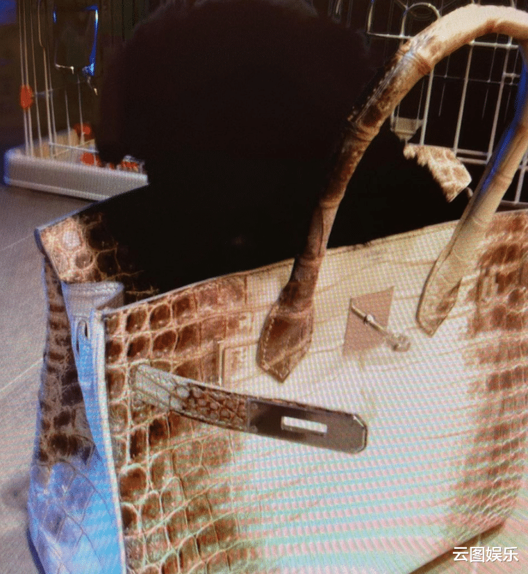 顾纪筠|59岁女星转行卖珠宝成富婆,百万名牌包装狗太奢侈,称已买包成瘾