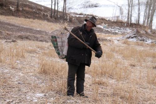 豫北老农民 60后农村人的记忆：拾粪，只为地里土壤肥活，庄稼长得壮硕