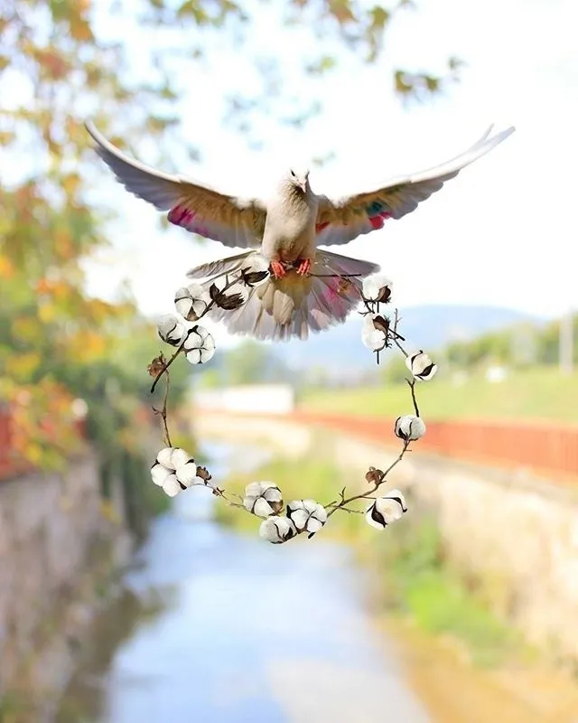 情感语录生活感悟|关于做人之道的一句话，值得收藏一生！