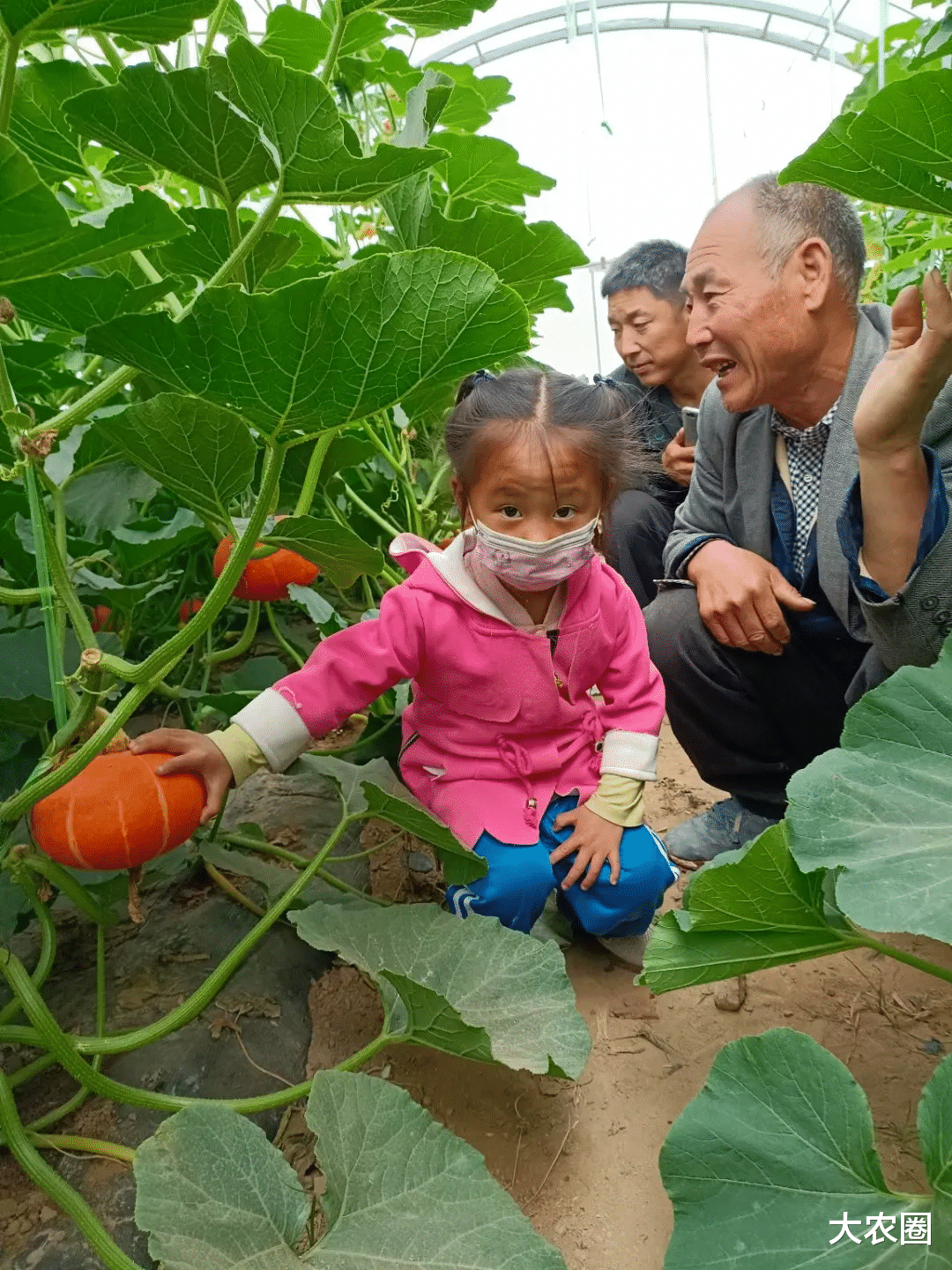 大农圈 益农社｜让每户年增收7500元——孙立学和他的益农信息社