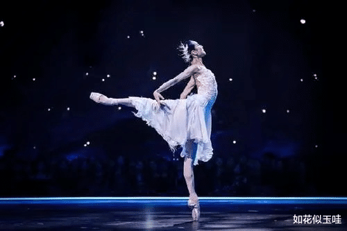 舞蹈风暴|舞蹈风暴，综艺推荐！