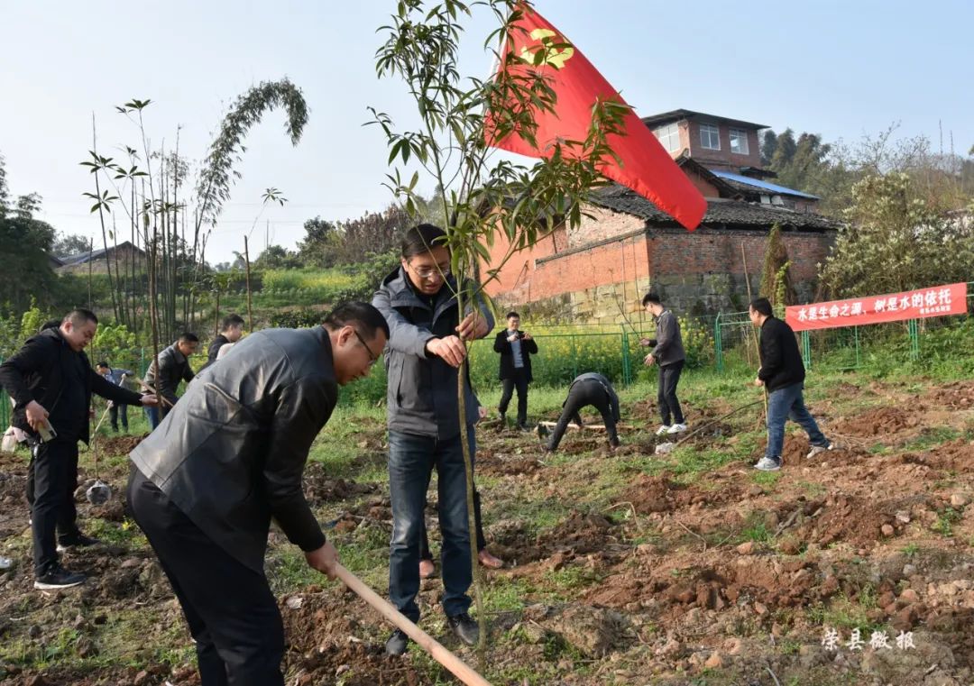富顺快报 新春添新绿，这是荣县打开春天的正确方式