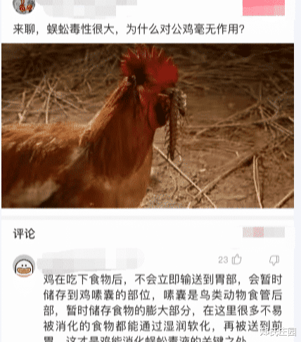 蜈蚣 神回复：为什么蜈蚣毒性很大，却对公鸡毫无作用呢？