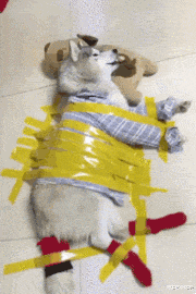 钓鱼执法|“还想钓鱼执法我？”看一看外卖小哥的搞笑日常