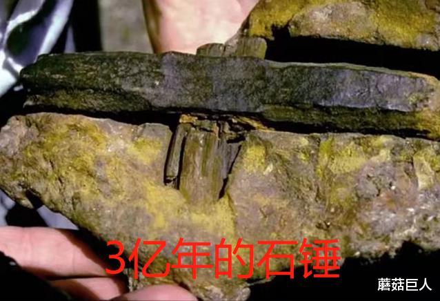  地球是异星人的密钥，地球不可说的远古过往，人类还蒙在鼓里