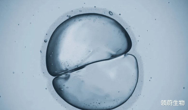 领蔚生物|研究综述：干细胞疗法对糖尿病相关病变的临床试验