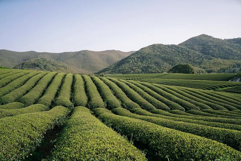 人民日报|和杨洋x热巴的小甜片一样上头的，还有这座太湖边的低调水乡...