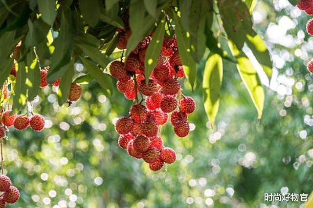 运动|子宫“害怕”的4种水果，女性忍住不吃就是赢，1项运动或能挽救