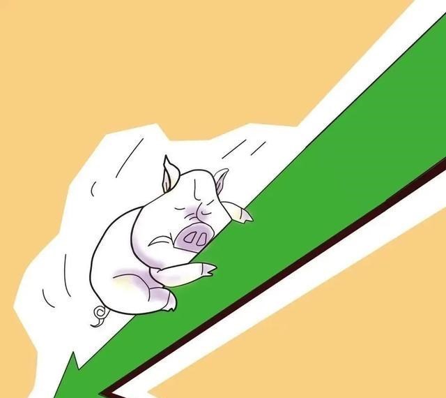 化工业 豆粕涨600，玉米涨800，散户利润跌32%，规模养殖却巨赚，为啥？