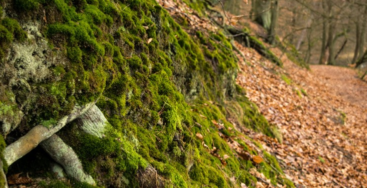 |职场关系中，忍一时不能风平浪静，个人亲身经历