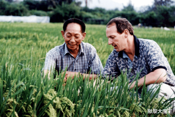 娱乐圈|袁隆平爷爷离世后续，数位艺人丑态百出，意外掀开娱乐圈遮羞布