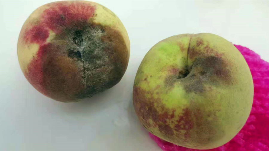 水果|立秋后,3种水果正悄悄“掏空”你的肝脏,为健康平时尽量别吃了