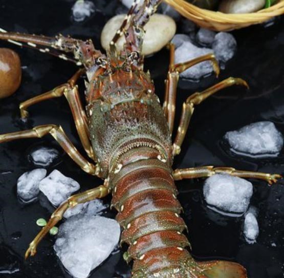 90后宝妈经验|刀鱼从60块钱一斤，跌至3块钱一斤，消费者：再便宜也买不起