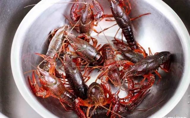 浩浩爱说时尚|如何做小龙虾？