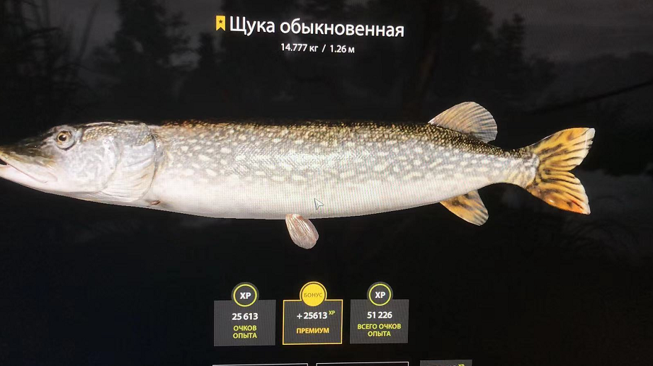 巨鳄|俄罗斯钓鱼4  12图狗鱼和蛇