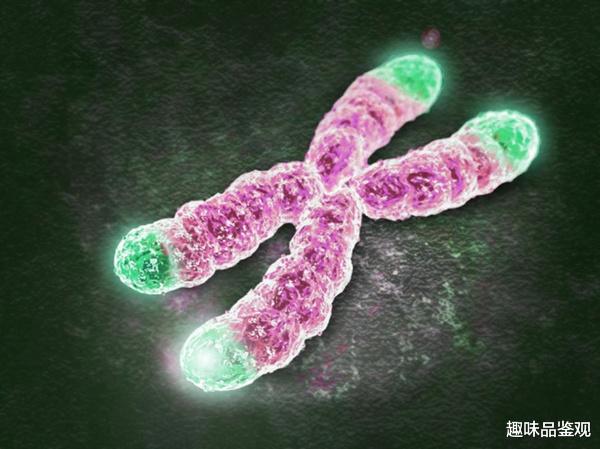 哺乳动物 人类寿命的极限是多少？我们能活到极限值吗？