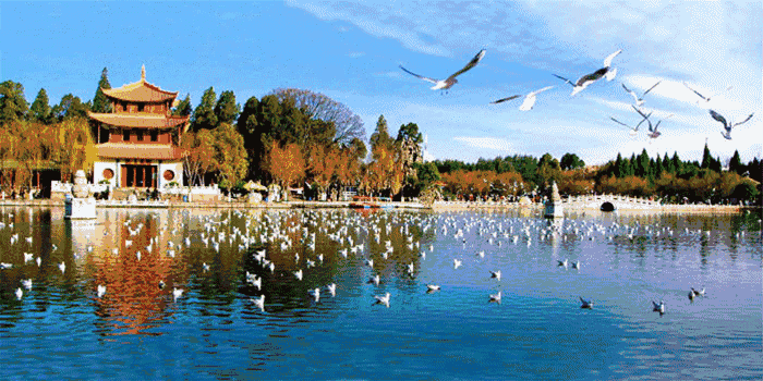 杨舒平|杨舒平:为拿绿卡背弃祖国,夸美国空气香甜,如今在家啃老