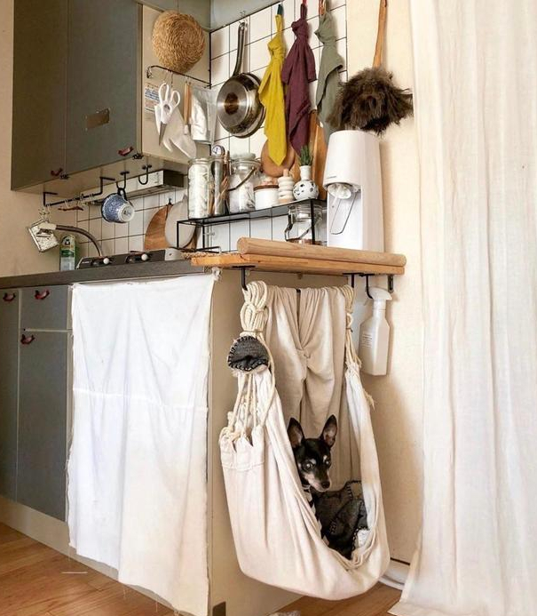 独居6年！一人独居有狗相伴，家居布置得简单精致，太羡慕了