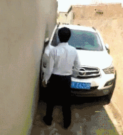 动物庄园|“给你500万，一年之内必须完成下面一个任务，你会怎么选？”