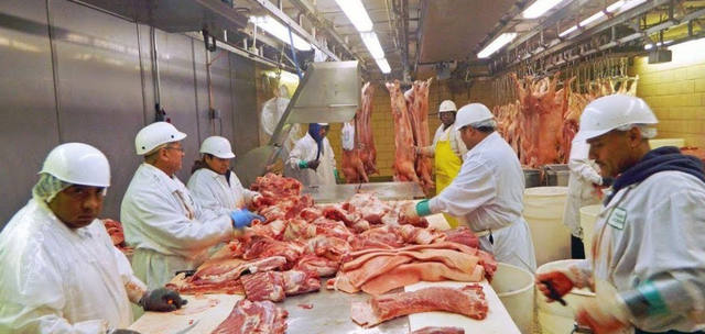 我國從美國買進豬肉，每斤價格為4.35元，為何國內卻賣40元一斤？-圖7