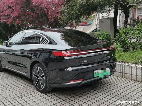 电动汽车|比亚迪汉EV跑1万公里比汽油省多少钱？湖南小伙记录了1万公里的充电花费