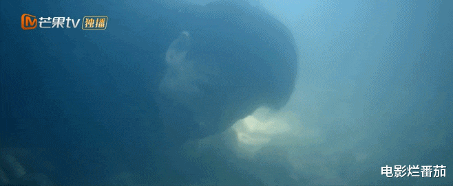 魏疆|播放量破亿！秦昊这部高分神剧，一集70分钟都嫌太短，完全看不够