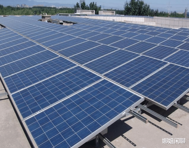 昆虫 科学家找到了免费能源？却被禁止研究？真有这种事吗？