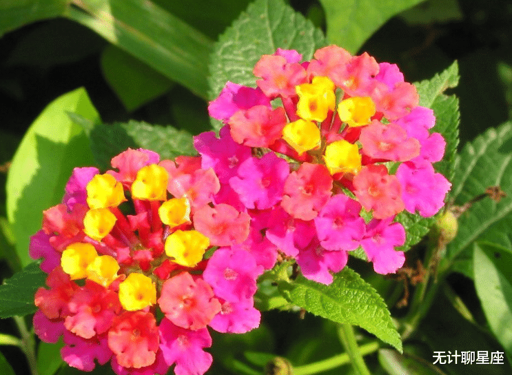 星座男|12月，忍耐力强的4个星座男，有勇有谋，职场上取得一番成就