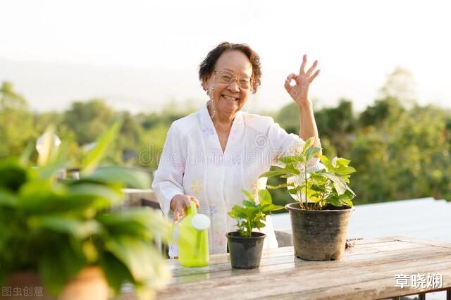 章晓娴|59岁退休女人直言：我想找老伴，对方不用有房有钱，但有3个要求