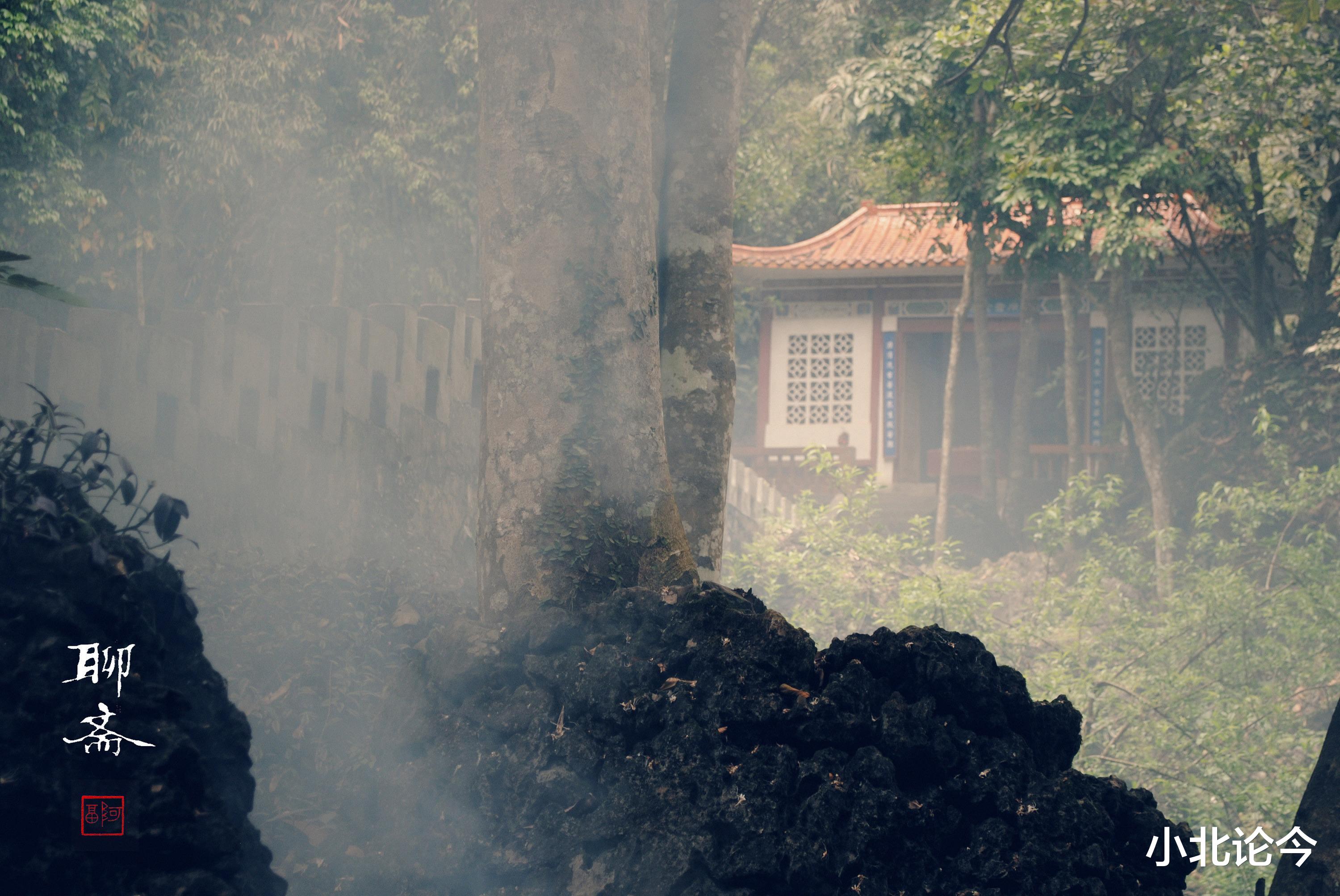 王力宏|王力宏:纵然生得好皮囊,于国于家无望