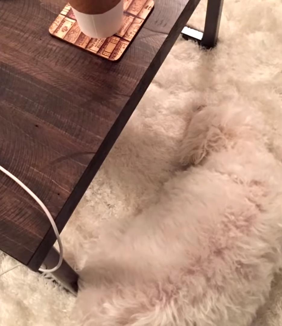 海之归墟|25张带有伪装效果的照片，网友：都是“撞衫”惹的祸