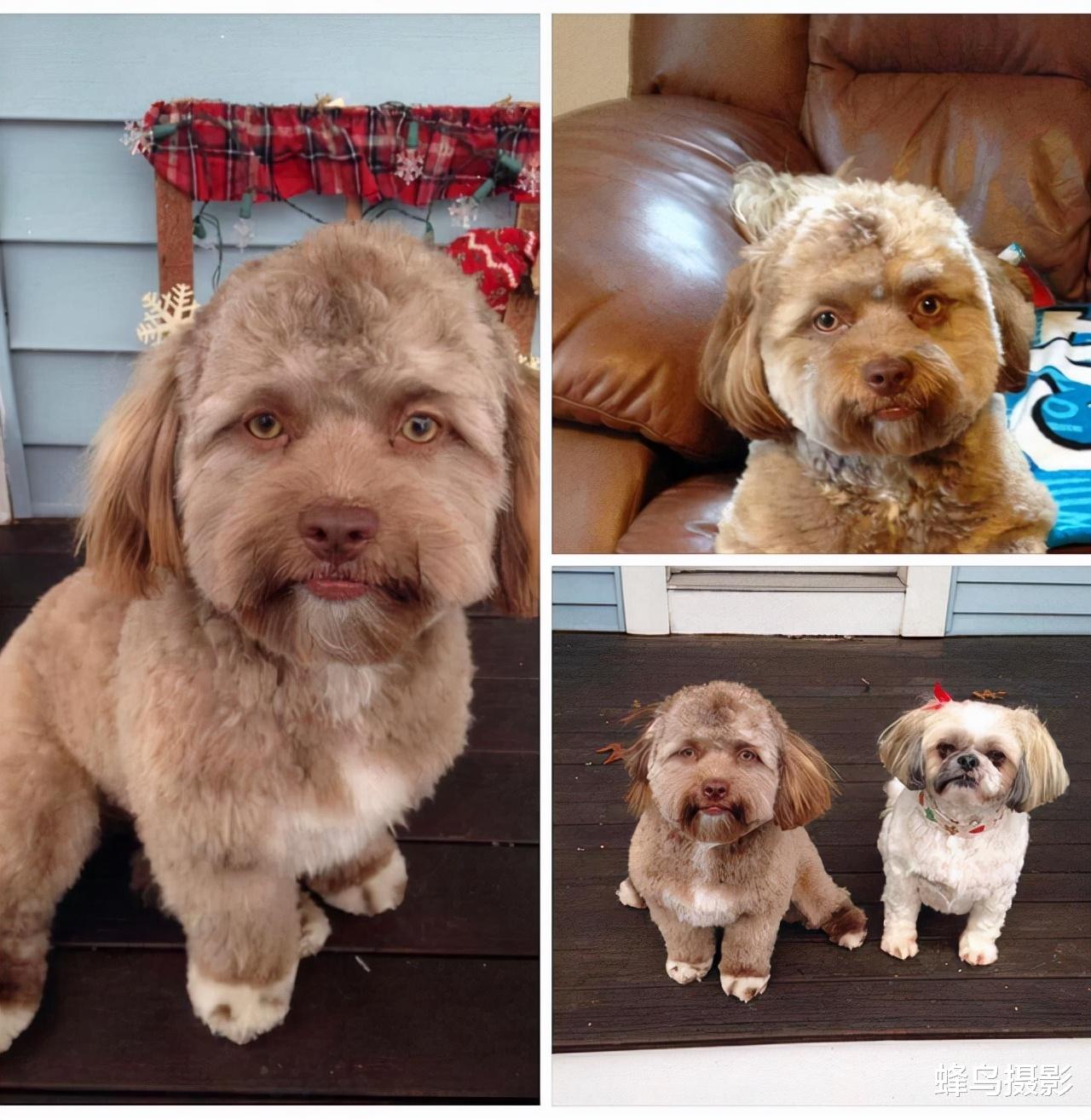 秦始皇帝陵 28张活久未见的照片，上万只蚂蚁搭“蚁”梯攻击黄蜂巢，谁组织的